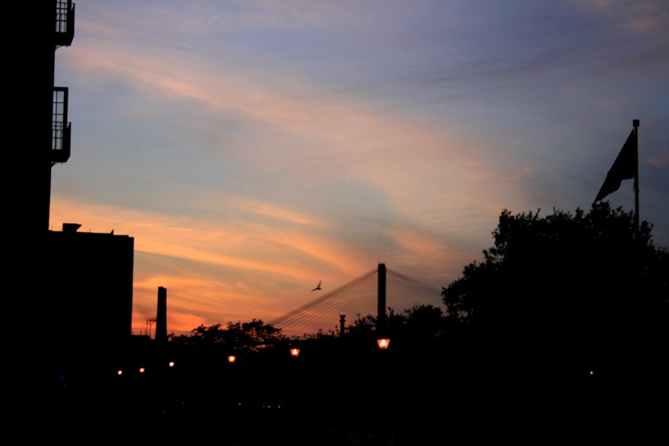 IMG 0525