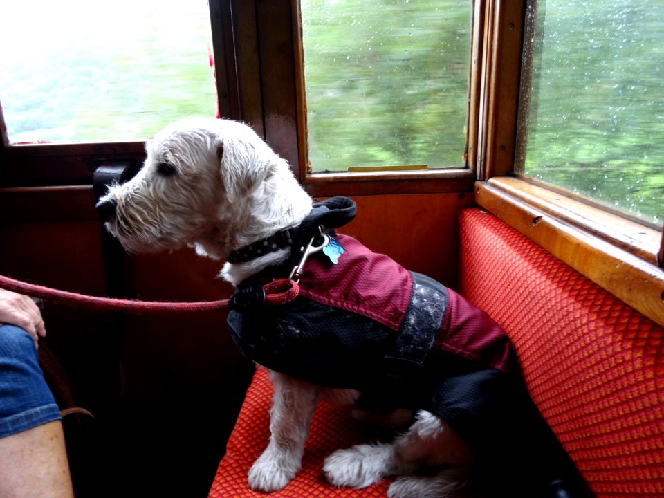 THE DAILY COMMUTE TO THE OFFICE