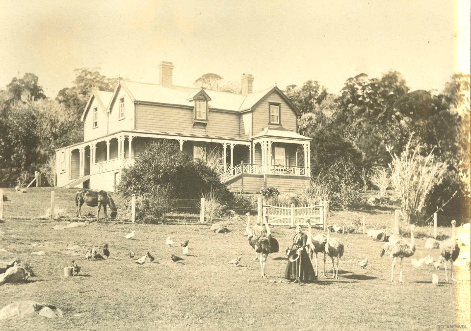 Ostrich Farm, possibly Auckland area c1906