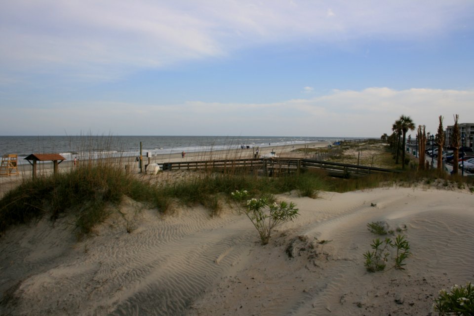IMG 0490