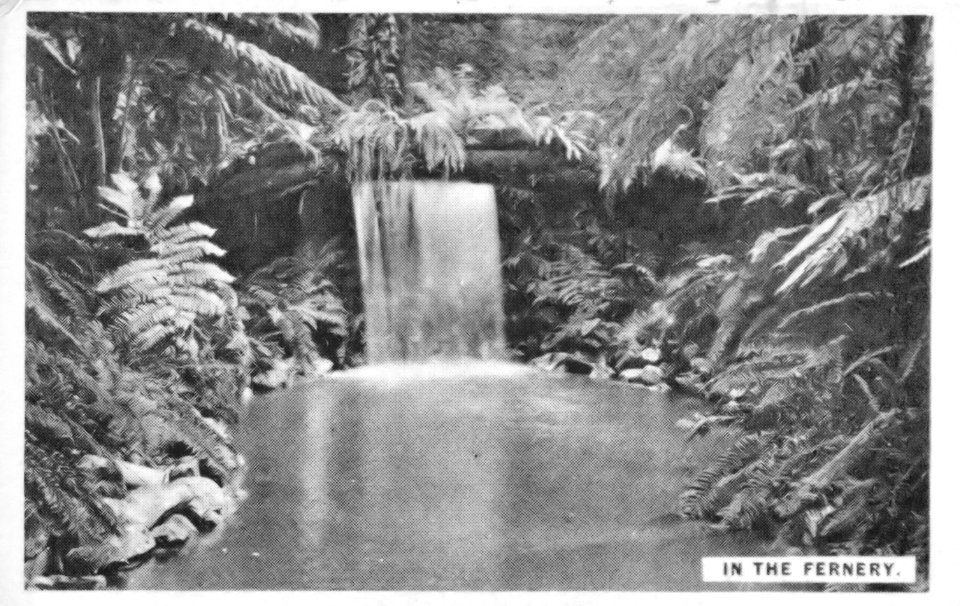 New Zealand & South Seas Exhibition - The Fernery, 1925-6 photo