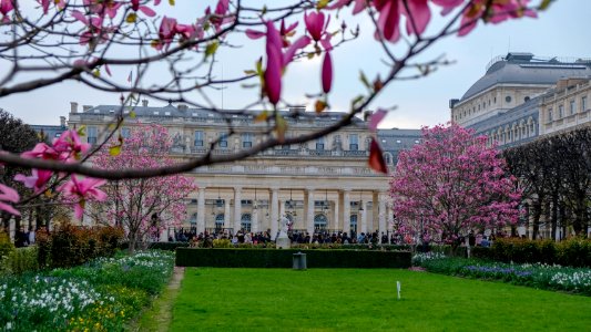 Palais Royal photo