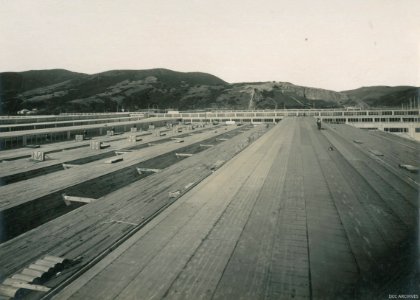 Construction of the New Zealand & South Seas Exhibition, Logan Park 1924-1925