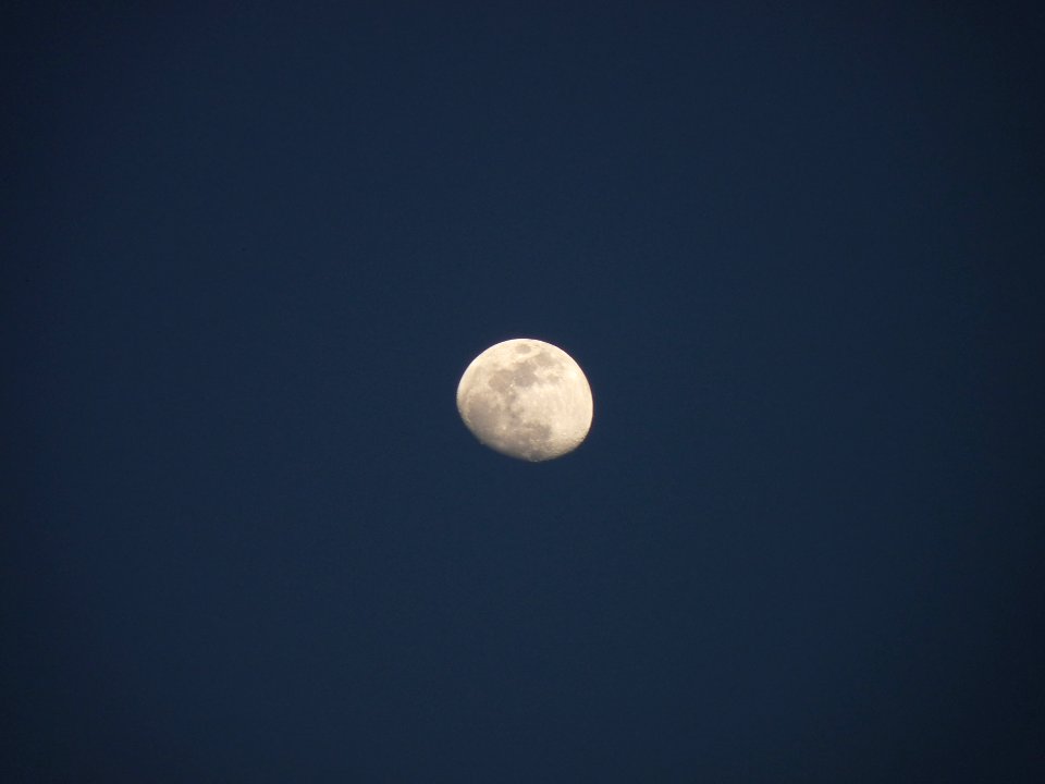 Late winter moon 2