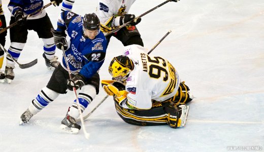 Bracknell Bees Vs Sheffield Steeldogs