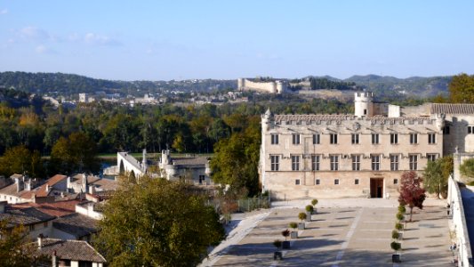 Petit Palais photo