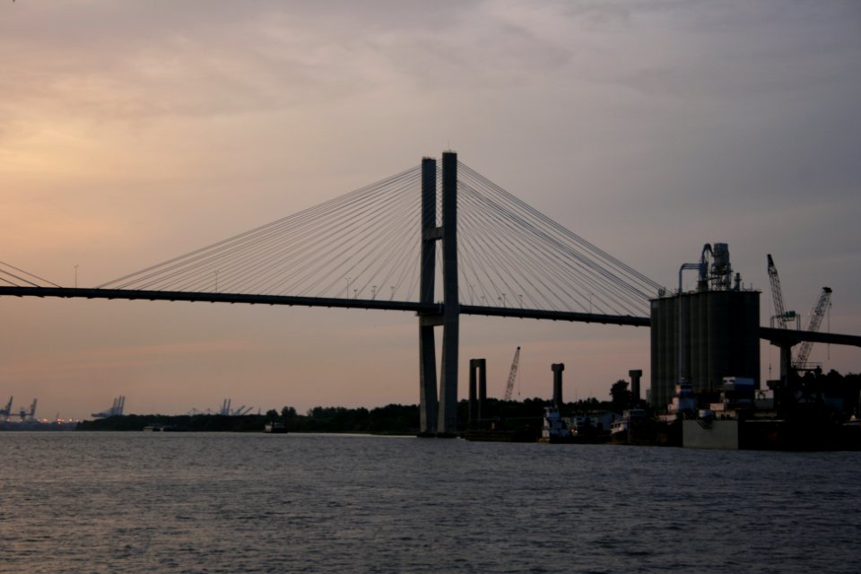 IMG 0519