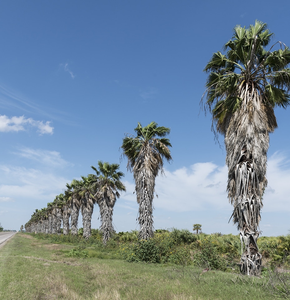 Texas rio grande river border