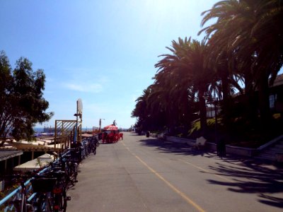 San Remo (16)