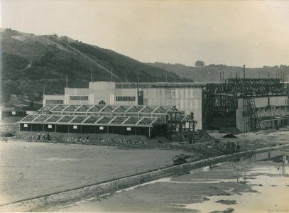 Construction of the New Zealand & South Seas Exhibition, Logan Park 1924-1925