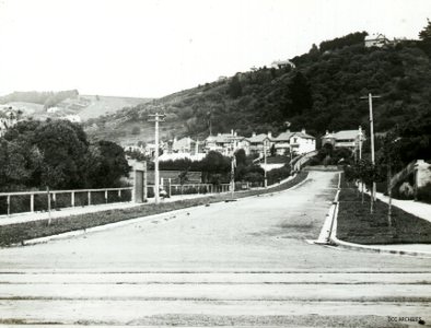 Hobson Street, St Clair, c1915