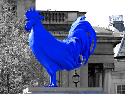 TRAFALGAR SQUARE