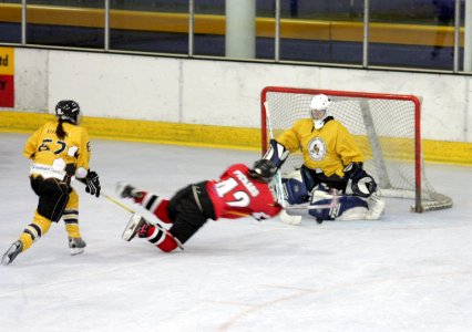 Bracknell Firebees Vs Basingstoke Bison Ladies