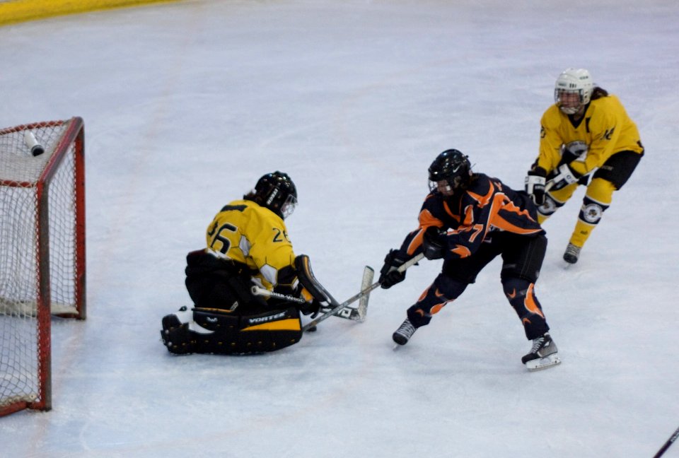 Bracknell Firebees Vs Basingstoke Bears