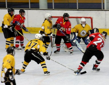 Bracknell Firebees Vs Basingstoke Bison Ladies