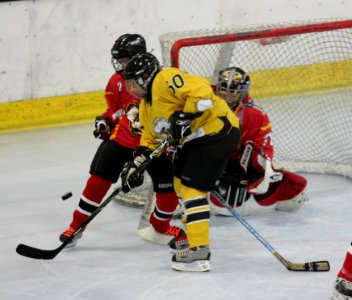 Bracknell Firebees Vs Basingstoke Bison Ladies