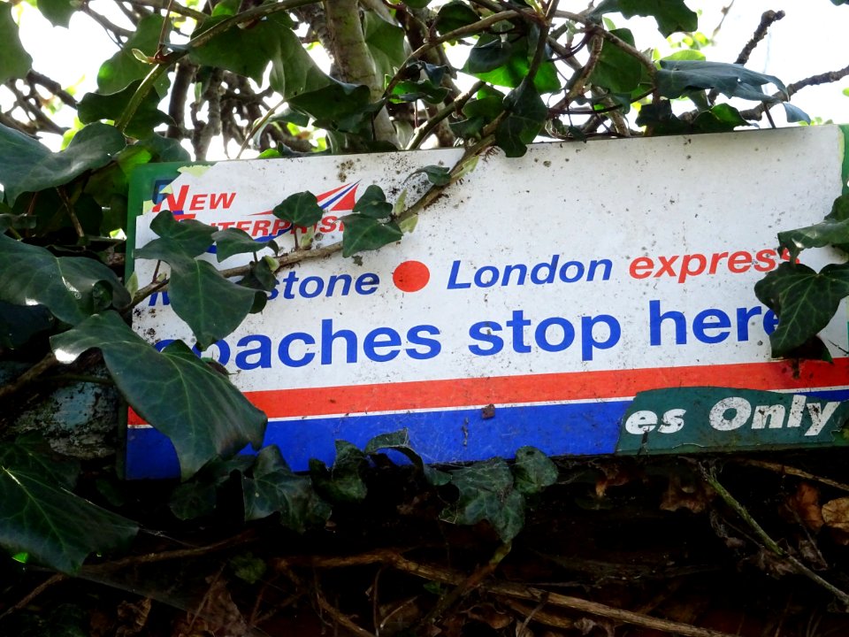 Still there in 2017 New Enterprise Coaches sticker on a Green Line Coaches Sign.