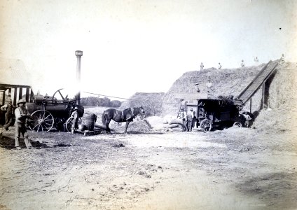 Elm Grove Farm - Portable Engine and Threshing Mill, c1880s