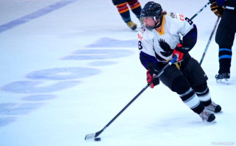 Ice Hockey: Guildford Lightning At Milton Keynes Falcons