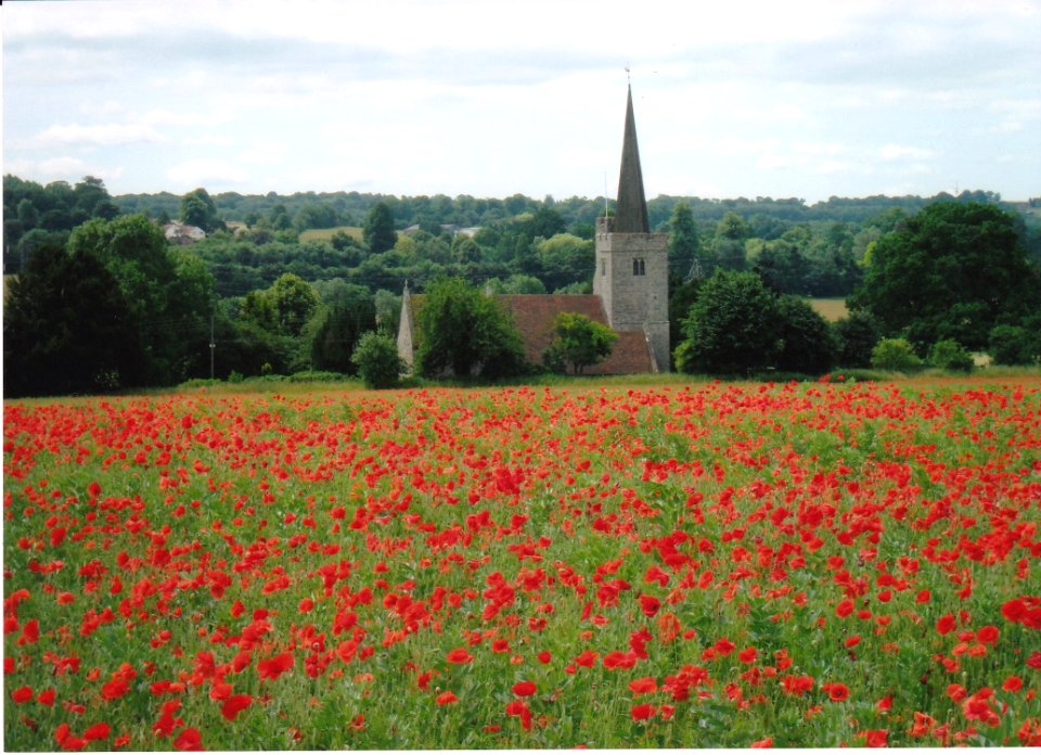 THE CHURCH IN THE POPPY FIELD