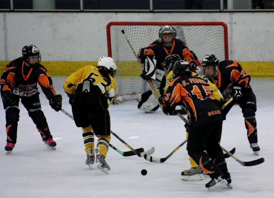 Bracknell Firebees Vs Basingstoke Bears