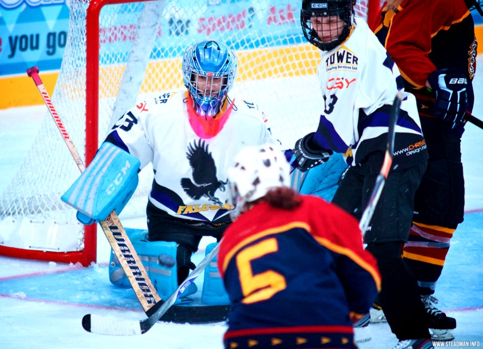 Ice Hockey: Guildford Lightning At Milton Keynes Falcons