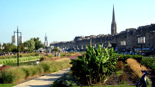 Les quais de Bordeaux photo