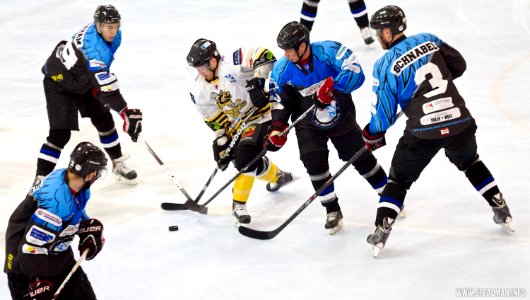 Bracknell Bees Vs Manchester Phoenix