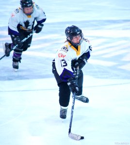 Ice Hockey: Guildford Lightning At Milton Keynes Falcons