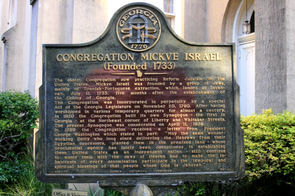 IMG 0459