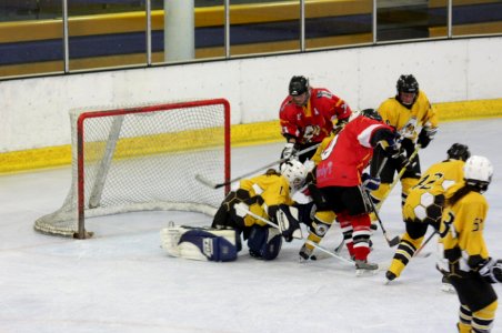 Bracknell Firebees Vs Basingstoke Bison Ladies