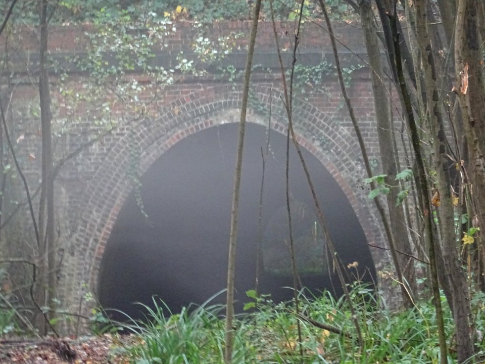 The Grove Hill Tunnel Tunbridge Wells looking a bit mystical today.