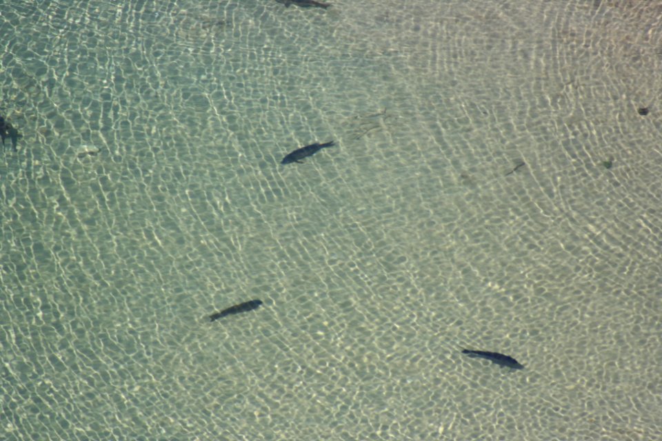 IMG 0316