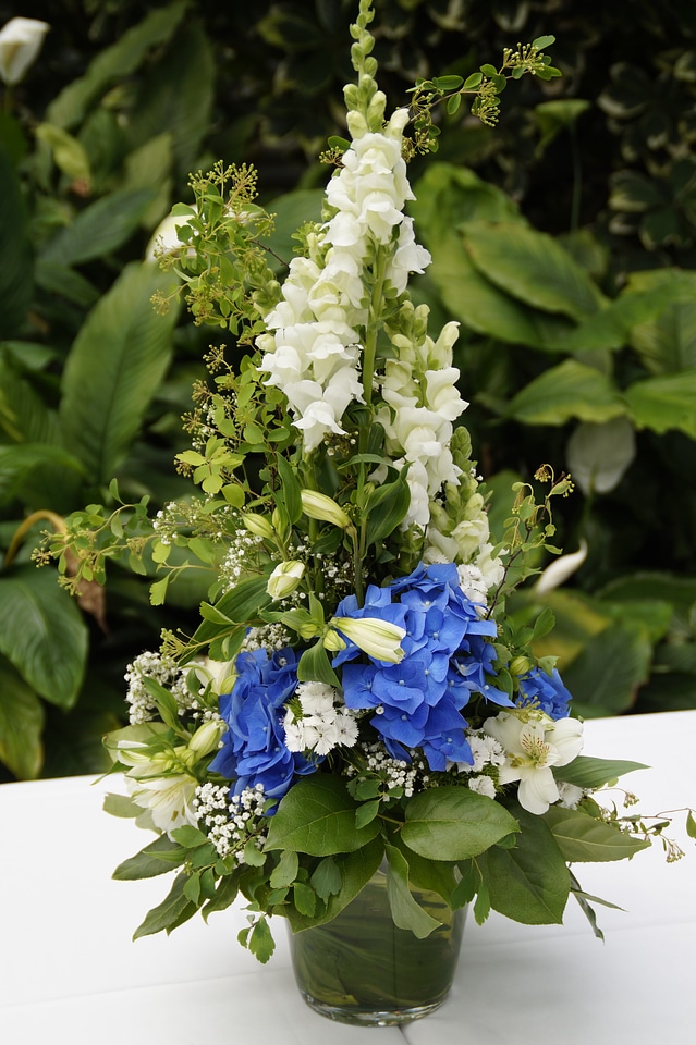 Artfully fresh blue
