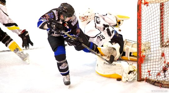 Ice Hockey - Bracknell Bees Vs Sheffield Steeldogs