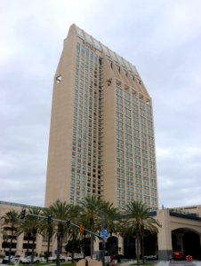 IMG 3600