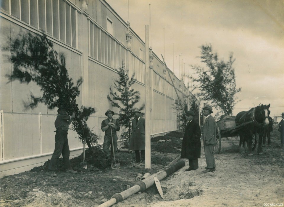 Construction of the New Zealand & South Seas Exhibition, Logan Park 1924-1925
