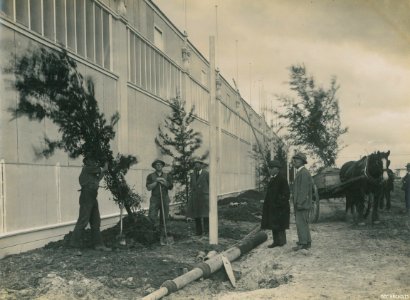 Construction of the New Zealand & South Seas Exhibition, Logan Park 1924-1925