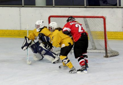 Bracknell Firebees Vs Basingstoke Bison Ladies