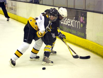 Firebees at Chelmsford