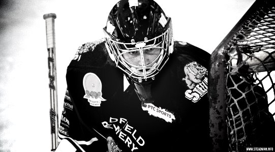 Ice Hockey - Bracknell Bees Vs Sheffield Steeldogs