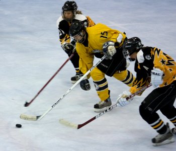 Bracknell Firebees Vs Chelmsford