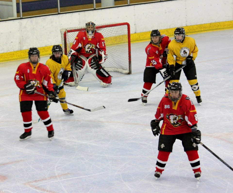 Bracknell Firebees Vs Basingstoke Bison Ladies