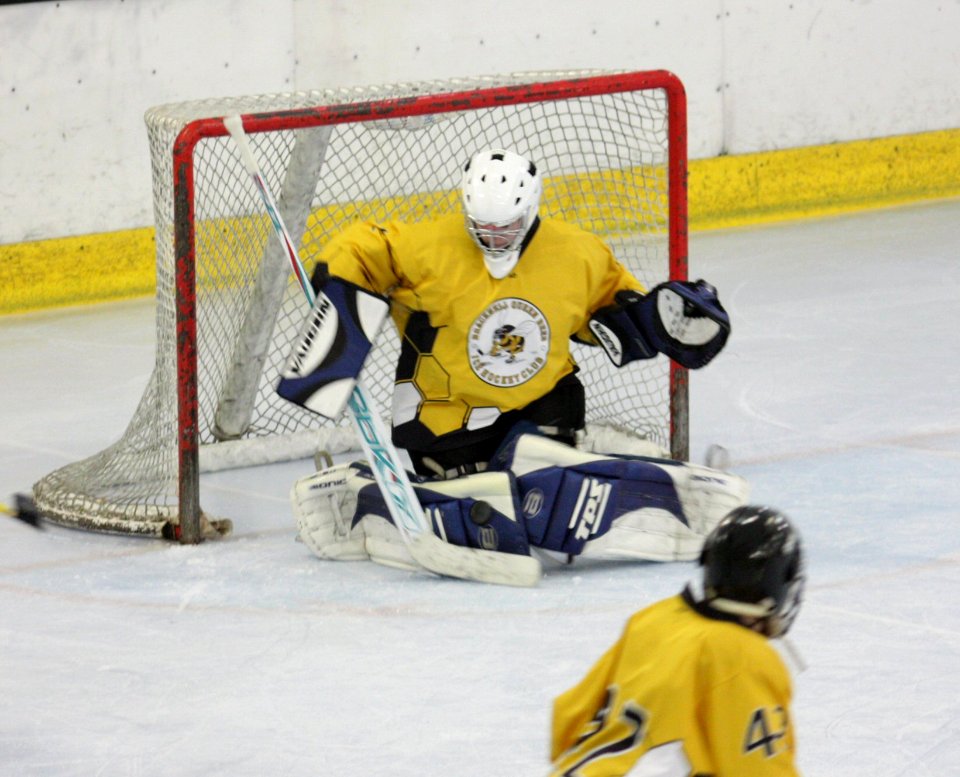 Bracknell Firebees Vs Basingstoke Bison Ladies
