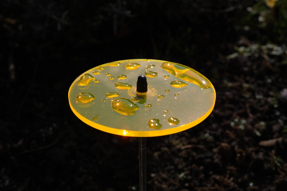 Garden decoration gartendeko neonorange