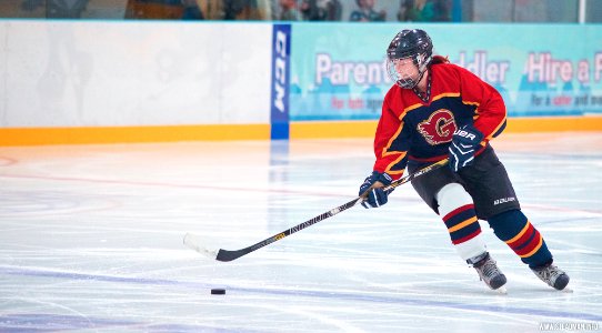 Ice Hockey: Guildford Lightning At Milton Keynes Falcons