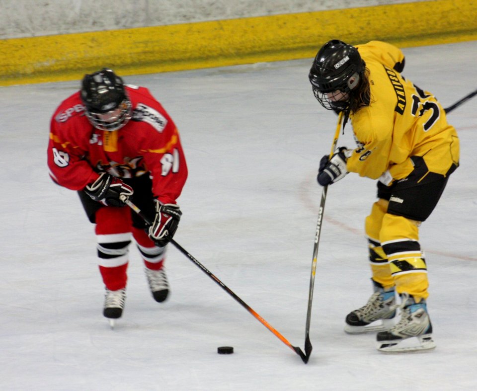 Bracknell Firebees Vs Basingstoke Bison Ladies