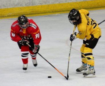 Bracknell Firebees Vs Basingstoke Bison Ladies
