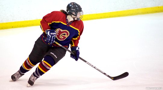 Ice Hockey - Guildford Lightning At Sheffield Shadows
