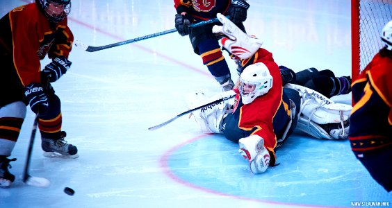 Ice Hockey: Guildford Lightning At Milton Keynes Falcons